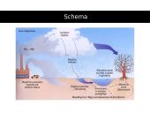 Skaidrės apie rūgščiuosius lietus 7 puslapis