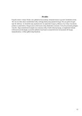 Elektroninių ir popierinių knygų palyginimas 11 puslapis