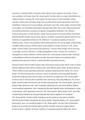 Prekinio ženklo apibūdinimas 11 puslapis