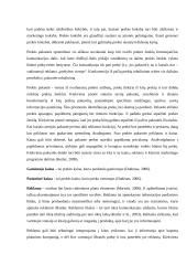 Prekinio ženklo apibūdinimas 4 puslapis