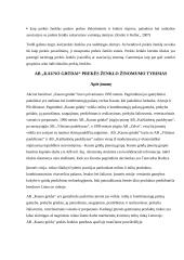 Prekinio ženklo apibūdinimas 6 puslapis