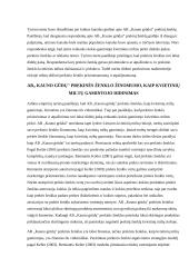 Prekinio ženklo apibūdinimas 10 puslapis