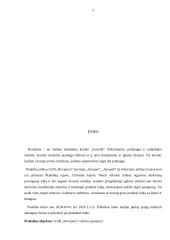 Praktikos ataskaita administracijos srityje 2 puslapis