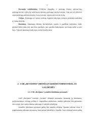 Praktikos ataskaita administracijos srityje 5 puslapis