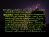 Elektros poveikis ir žala žmogaus organizmui 11 puslapis