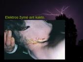 Elektros poveikis ir žala žmogaus organizmui 15 puslapis