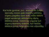 Elektros poveikis ir žala žmogaus organizmui 4 puslapis
