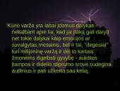 Elektros poveikis ir žala žmogaus organizmui 9 puslapis