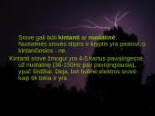 Elektros poveikis ir žala žmogaus organizmui 10 puslapis