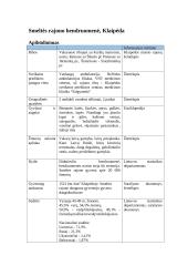 Bendruomenės sveikatos problemų nustatymas, analizė ir strateginio plano sudarymas 2 puslapis