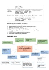 Bendruomenės sveikatos problemų nustatymas, analizė ir strateginio plano sudarymas 3 puslapis