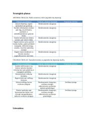 Bendruomenės sveikatos problemų nustatymas, analizė ir strateginio plano sudarymas 4 puslapis