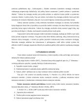 Kainos, kaip marketingo komplekso elemento, teorinė analizė 13 puslapis