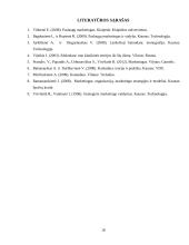 Kainos, kaip marketingo komplekso elemento, teorinė analizė 17 puslapis