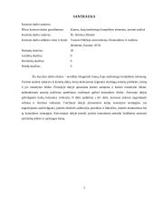 Kainos, kaip marketingo komplekso elemento, teorinė analizė 2 puslapis