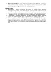 Parazitologija 8 puslapis