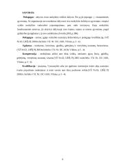 Pradinių klasių mokytojų profesinių kompetencijų plėtotė 6 puslapis