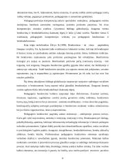 Pradinių klasių mokytojų profesinių kompetencijų plėtotė 8 puslapis