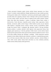 Sveikos gyvensenos koncepcija senyvo amžiaus žmonėms 3 puslapis