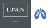 Lungs