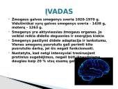 Galvos smegenys ir jų sandara 2 puslapis