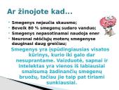 Galvos smegenys ir jų sandara 16 puslapis