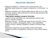 Galvos smegenys ir jų sandara 6 puslapis