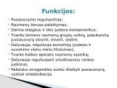 Galvos smegenys ir jų sandara 9 puslapis