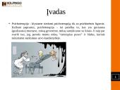 Į klientą orientuotos terapijos pritaikymas konsultuojant individus ir grupes 2 puslapis