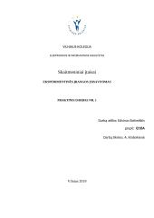 Skaitmeninai įtaisai - eksperimentinės įrangos įsisavinimas