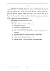Vadyba. Literatūros šaltinių analizė 3 puslapis