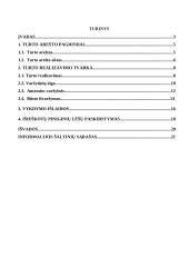 Turto areštas 2 puslapis