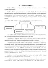 Turto areštas 13 puslapis