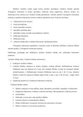 Turto areštas 14 puslapis