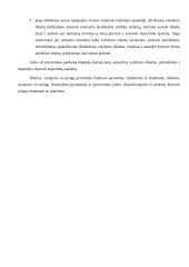 Turto areštas 19 puslapis