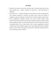 Turto areštas 20 puslapis