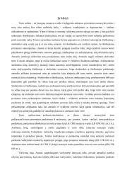 Turto areštas 3 puslapis