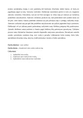 Turto areštas 4 puslapis