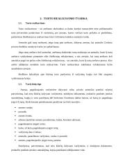 Turto areštas 8 puslapis