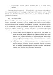 Turto areštas 10 puslapis