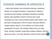Tautinės apeigos 7 puslapis