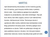 Tautinės apeigos 9 puslapis