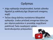 Biologijos skaidrės apie gyvūnų epilepsiją 12 puslapis