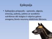 Biologijos skaidrės apie gyvūnų epilepsiją 3 puslapis