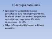 Biologijos skaidrės apie gyvūnų epilepsiją 6 puslapis