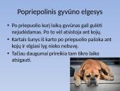 Biologijos skaidrės apie gyvūnų epilepsiją 8 puslapis