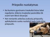 Biologijos skaidrės apie gyvūnų epilepsiją 9 puslapis