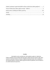 Aktyvieji kalbos ugdymo metodai. Žaidimų įvairovė 2 puslapis