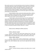 Aktyvieji kalbos ugdymo metodai. Žaidimų įvairovė 6 puslapis