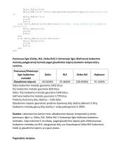 Šaltinio kodavimo ataskaita 4 puslapis